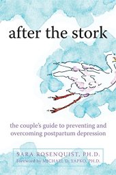 book After the Stork : the Couple's Guide to Preventing and Overcoming Postpartum Depression