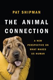 book The animal connection : a new perspective on what makes us human