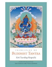 book Principles of Buddhist Tantra