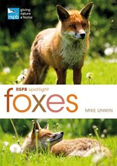 book RSPB Spotlight: Foxes