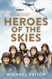 book Heroes of the skies