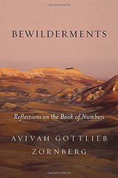 book Bewilderments : reflections on the Book of Numbers