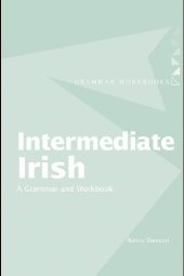 book Intermediate Irish A Grammar And Workbook