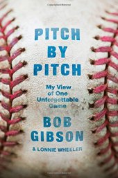 book Pitch by pitch : my view of one unforgettable game