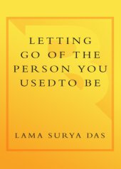 book Letting go of the person you used to be : lessons on change, loss, and spiritual transformation