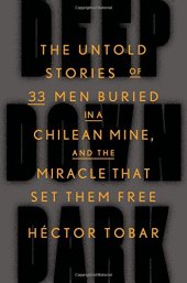 book Deep Down Dark: The Untold Stories of 33 Men Buried in a Chilean Mine, and the Miracle That Set Them Free