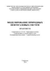 book Моделирование природных нефтегазовых систем 