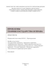 book Проблемы теории государства и права 