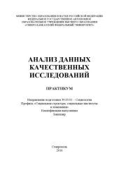 book Анализ данных качественных исследований 