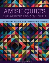 book Amish Quilts―The Adventure Continues: Featuring 21 Projects from Traditional to Modern