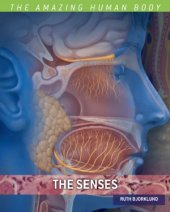 book The Senses (Amazing Human Body)