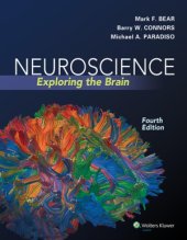 book Neuroscience  Exploring the Brain