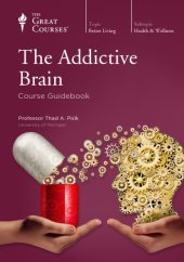 book The Addictive Brain