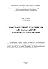 book Компьютерный практикум для бакалавров экономического направления  