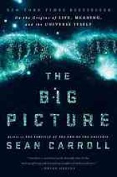 book The big picture : on the origins of life, meaning, and the universe itself