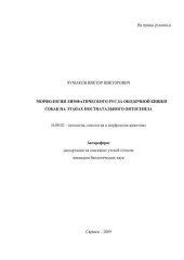 book Морфология лимфатического русла ободочной кишки собак на этапах  постнатального онтогенеза 