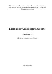 book Безопасность жизнедеятельности. Занятие 13: