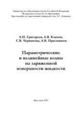 book Параметрические и нелинейные волны на заряженной поверхности жидкости (160,00 руб.)