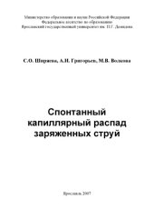 book Спонтанный капиллярный распад заряженных струй (240,00 руб.)