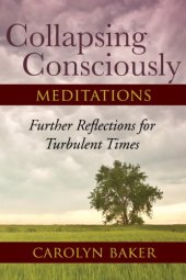 book Collapsing Consciously Meditations: Further Reflections for Turbulent Times