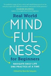 book Real World Mindfulness for Beginners: Navigate Daily Life One Practice at a Time