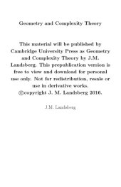 book Geometry and complexity theory