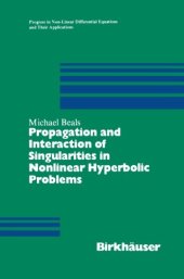 book Propagation and Interaction of Singularities in Nonlinear Hyperbolic Problems