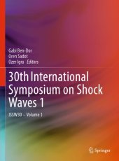 book 30th International Symposium on Shock Waves 1 : ISSW30 - Volume 1