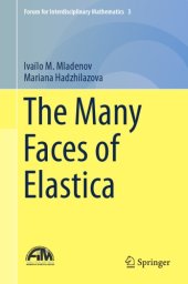 book The many faces of elastica