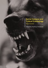 book Social Censure and Critical Criminology : After Sumner