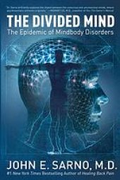 book The divided mind : the epidemic of mindbody disorders