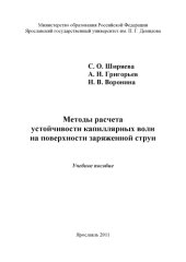 book Методы расчета устойчивости капиллярных волн на поверхности заряженной струи (240,00 руб.)