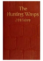 book The hunting wasps