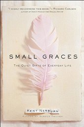 book Small Graces: The Quiet Gifts of Everyday Life