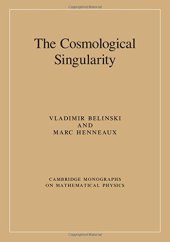 book The Cosmological Singularity