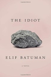 book The Idiot