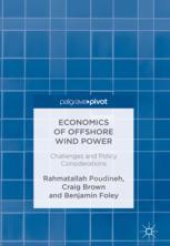 book Economics of Offshore Wind Power: Challenges and Policy Considerations