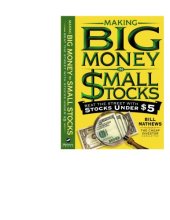 book Making big money in small stocks