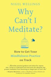 book Why Can’t I Meditate?: How to Get Your Mindfulness Practice on Track