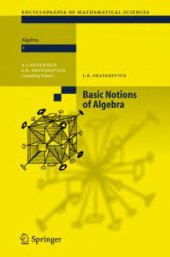 book Basic Notions of Algebra