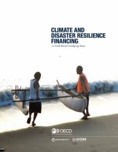 book Climate and disaster resilience financing in small island developing states.