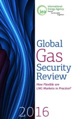 book Global gas security review 2016 : how flexible are LNG markets in practice?