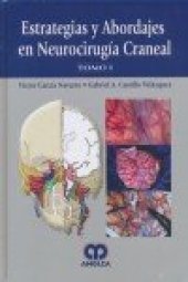 book Estrategias y Abordajes en Neurocirugía Craneal – Tomo II