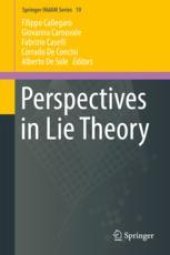 book  Perspectives in Lie Theory