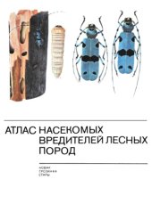 book Атлас насекомых вредителей древесных пород