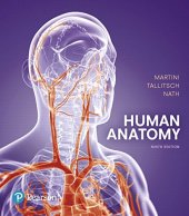 book Human Anatomy