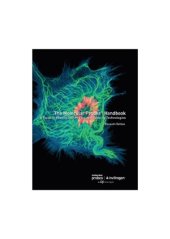 book A Guide to Fluorescent Probes and Labeling Technologies