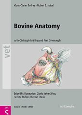 book Bovine Anatomy: An Illustrated Text