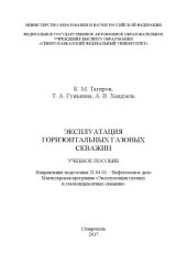 book Эксплуатация горизонтальных газовых скважин : учебное пособие
