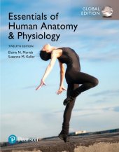 book Essentials of Human Anatomy & Physiology